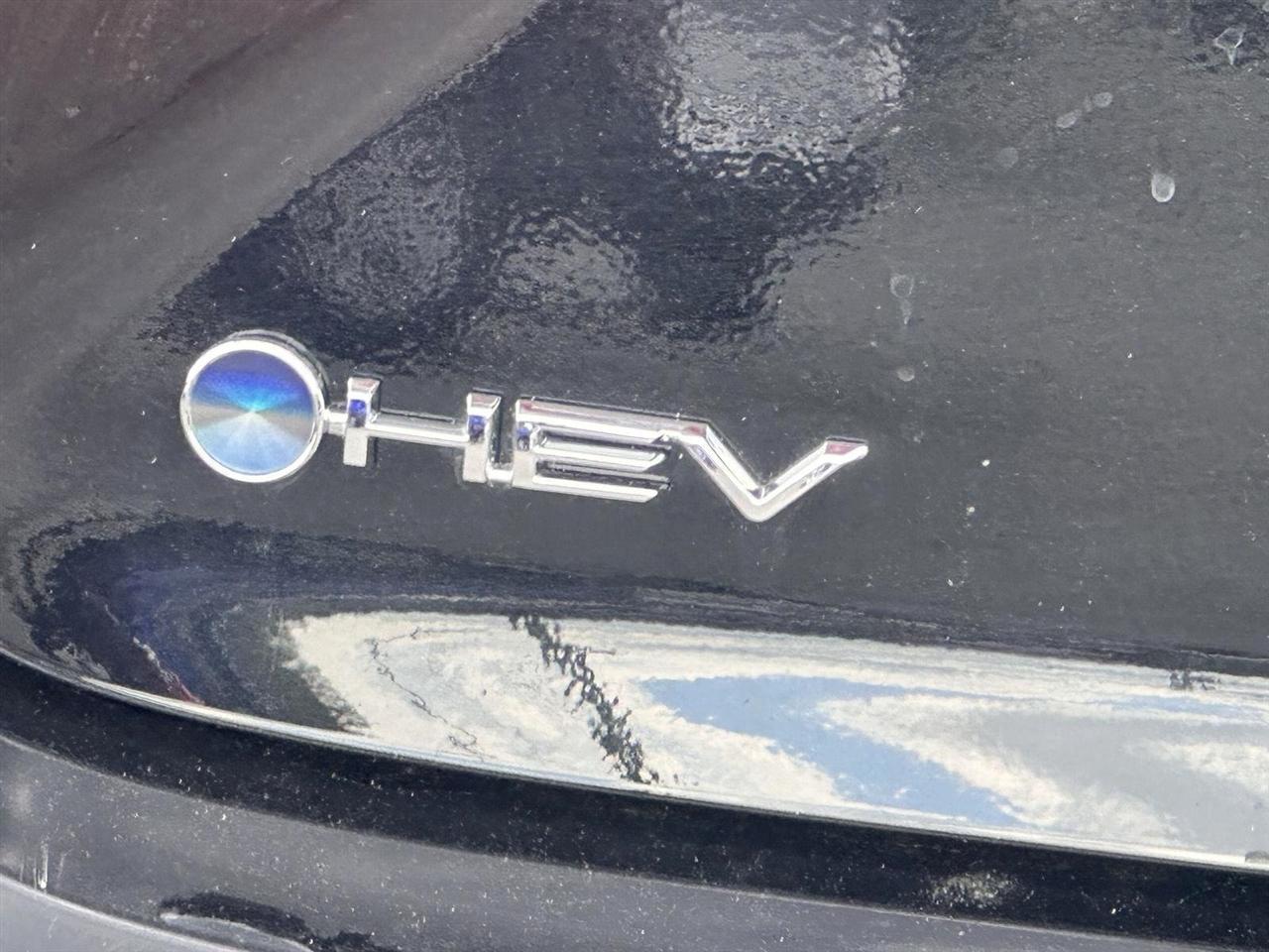 Toyota Camry XLE (Natl) 2025