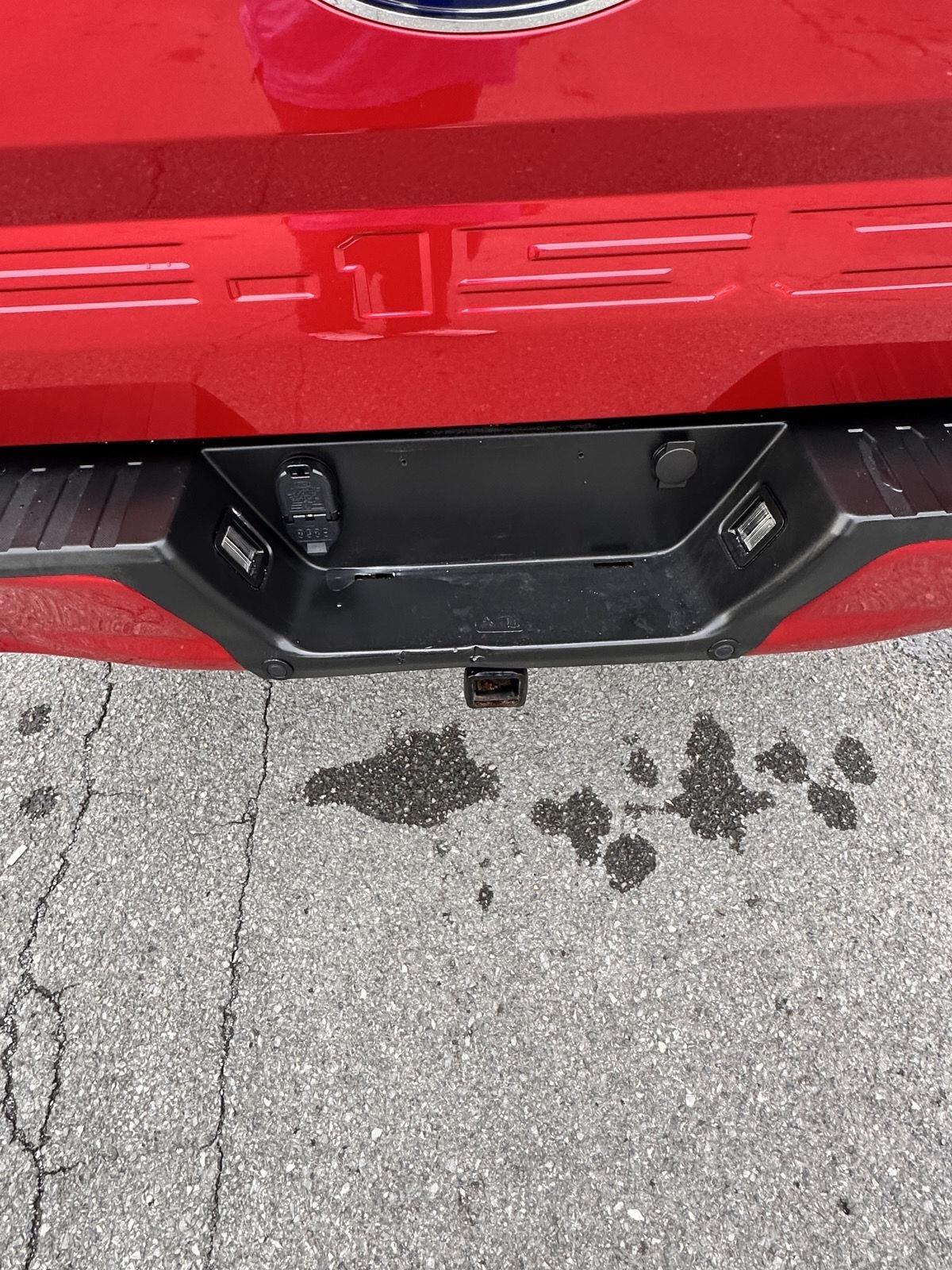 Ford F-150 King Ranch 4WD SuperCrew 5.5' Box 2020