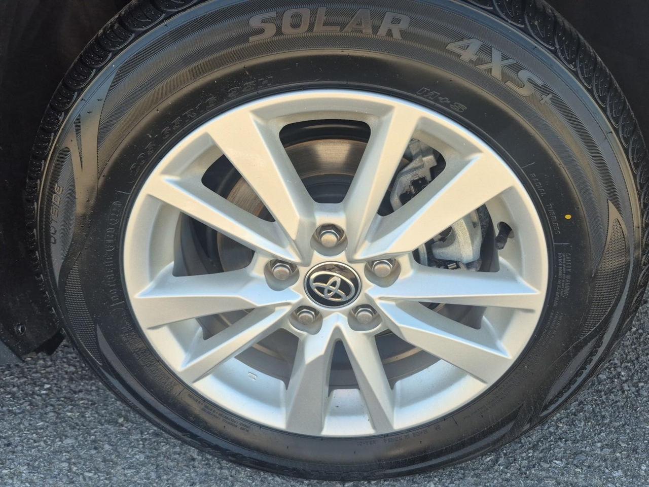 Toyota Camry XLE (Natl) 2025