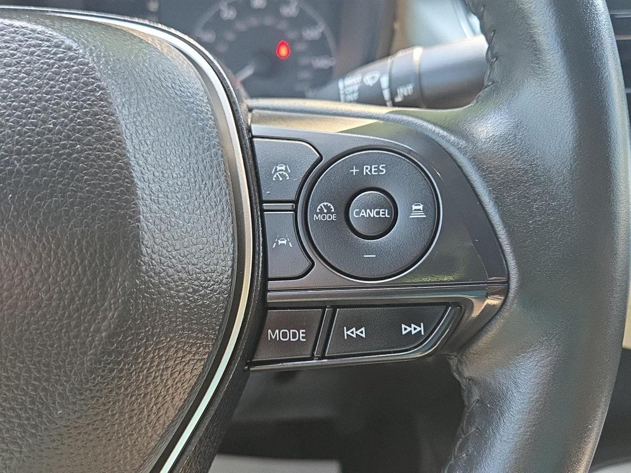 Toyota Corolla SE CVT (Natl) 2025