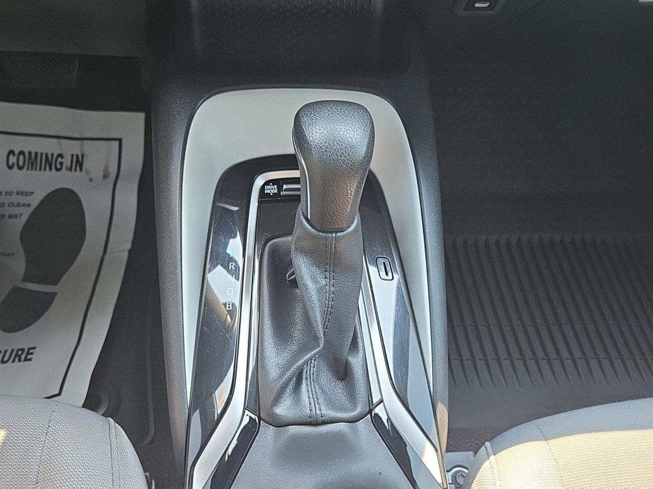 Toyota Corolla SE CVT (Natl) 2025