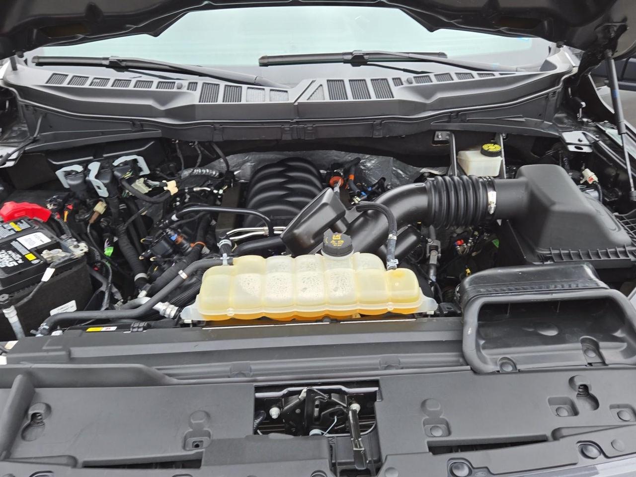 Ford F-150 STX 4WD SuperCrew 5.5' Box 2024