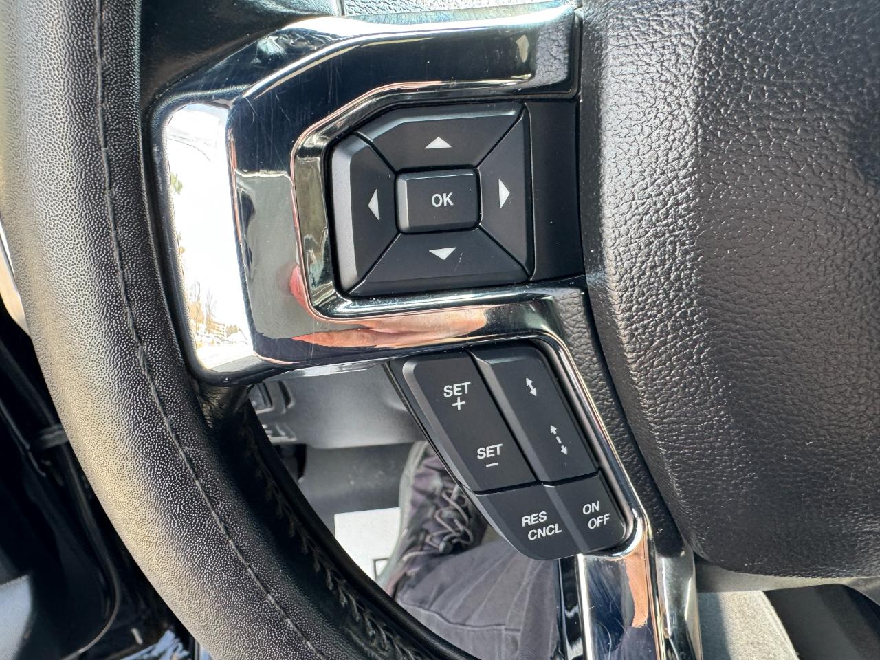 Ford Super Duty F-250 SRW Platinum 4WD Crew Cab 8' Box 2017