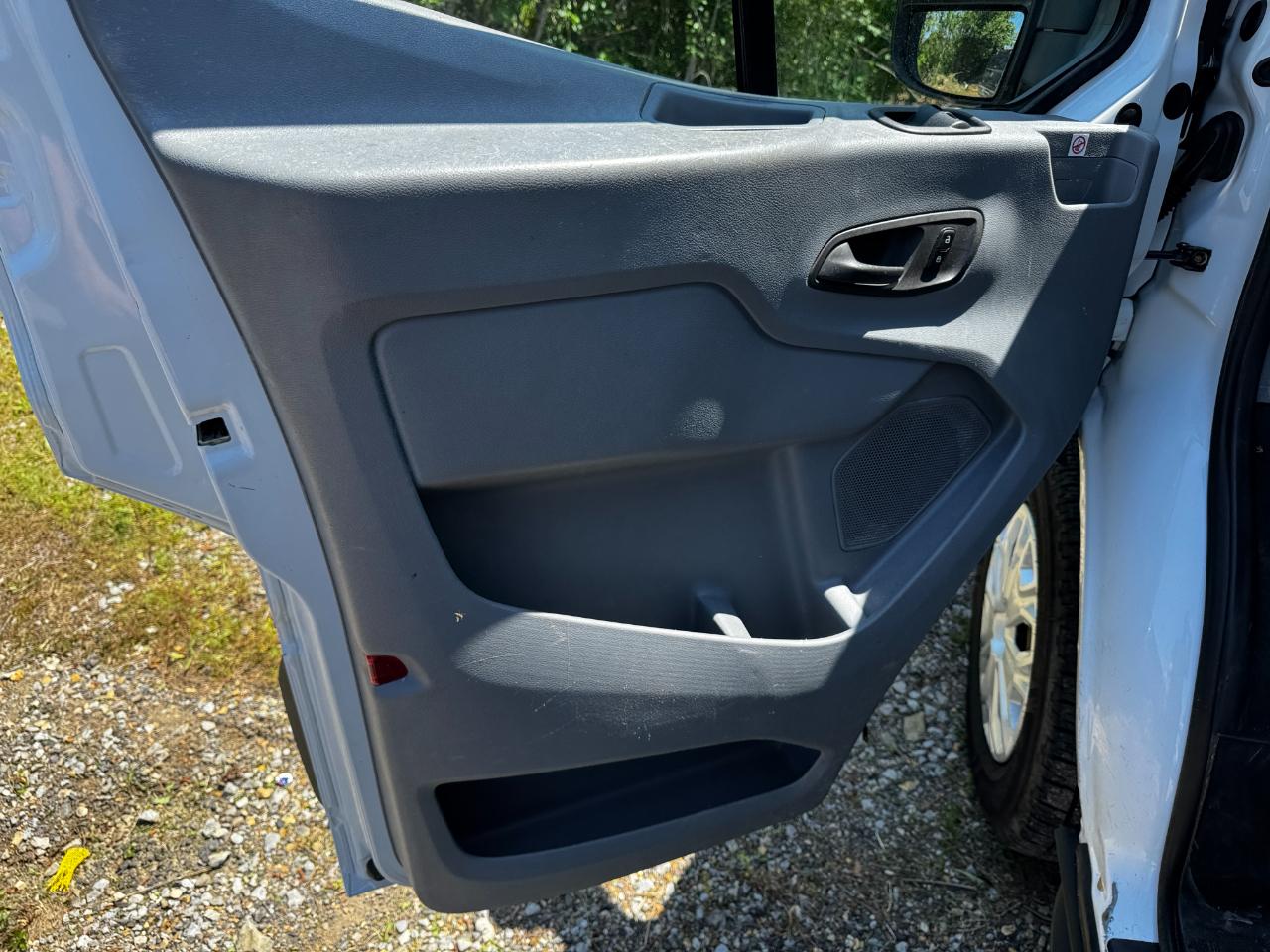 Ford Transit Passenger Wagon T-350 148" Low Roof XLT Swing-Out RH Dr 2019