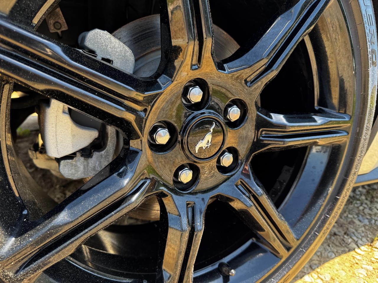 Ford Mustang EcoBoost Fastback 2019