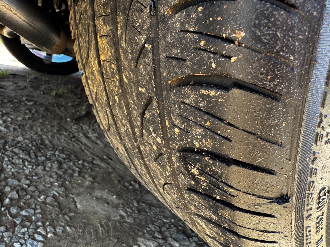 Ford Mustang EcoBoost Fastback 2019