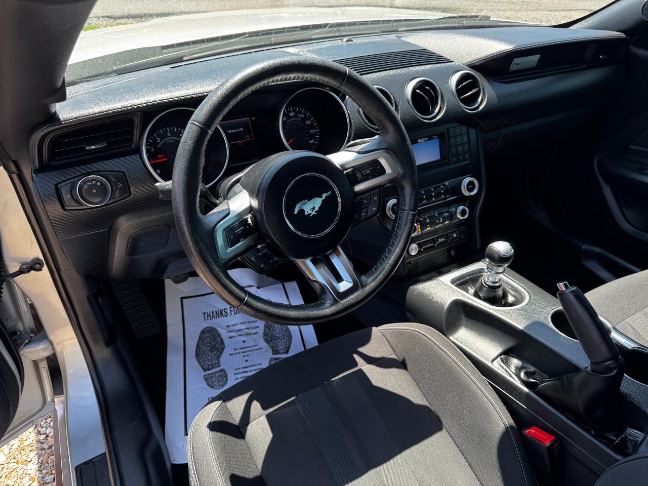 Ford Mustang EcoBoost Fastback 2019