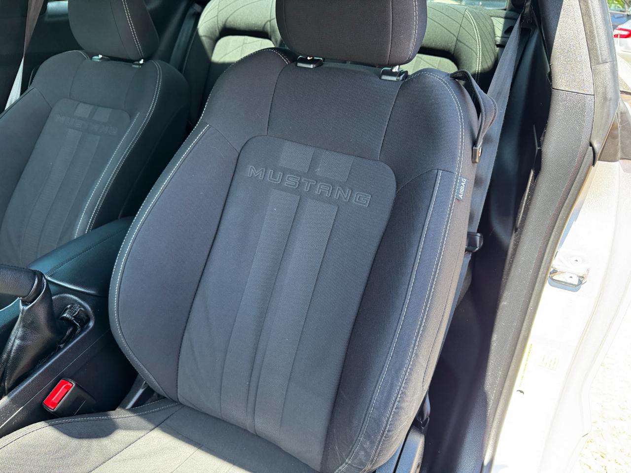 Ford Mustang EcoBoost Fastback 2019