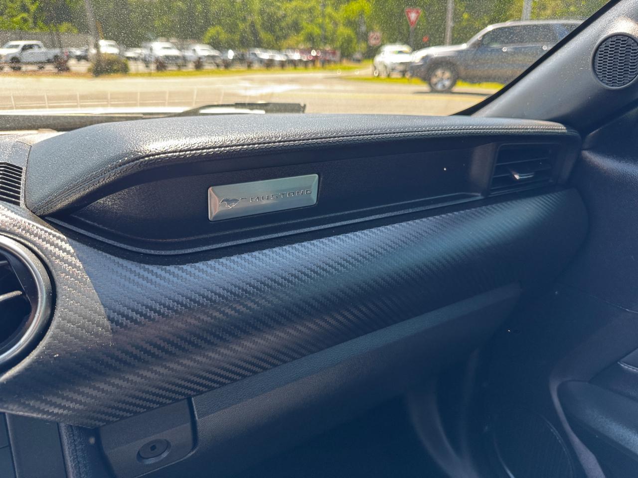 Ford Mustang EcoBoost Fastback 2019