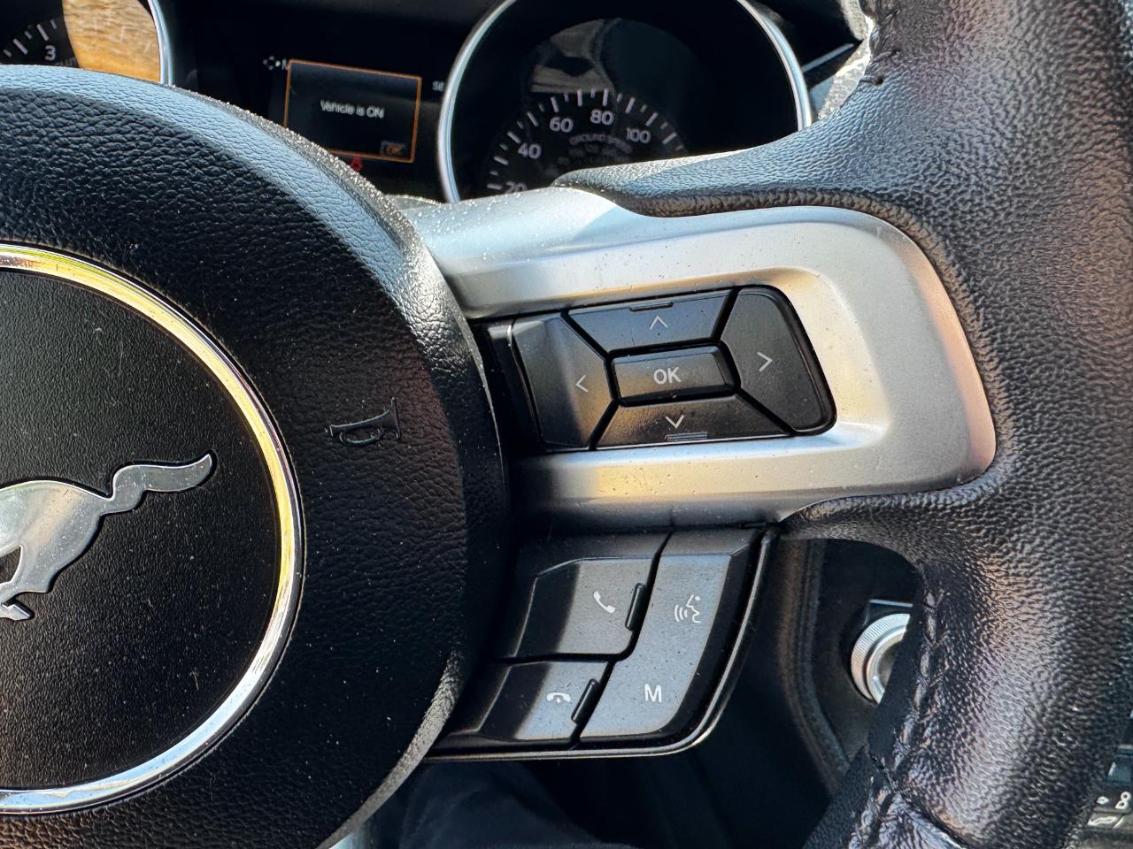 Ford Mustang EcoBoost Fastback 2019