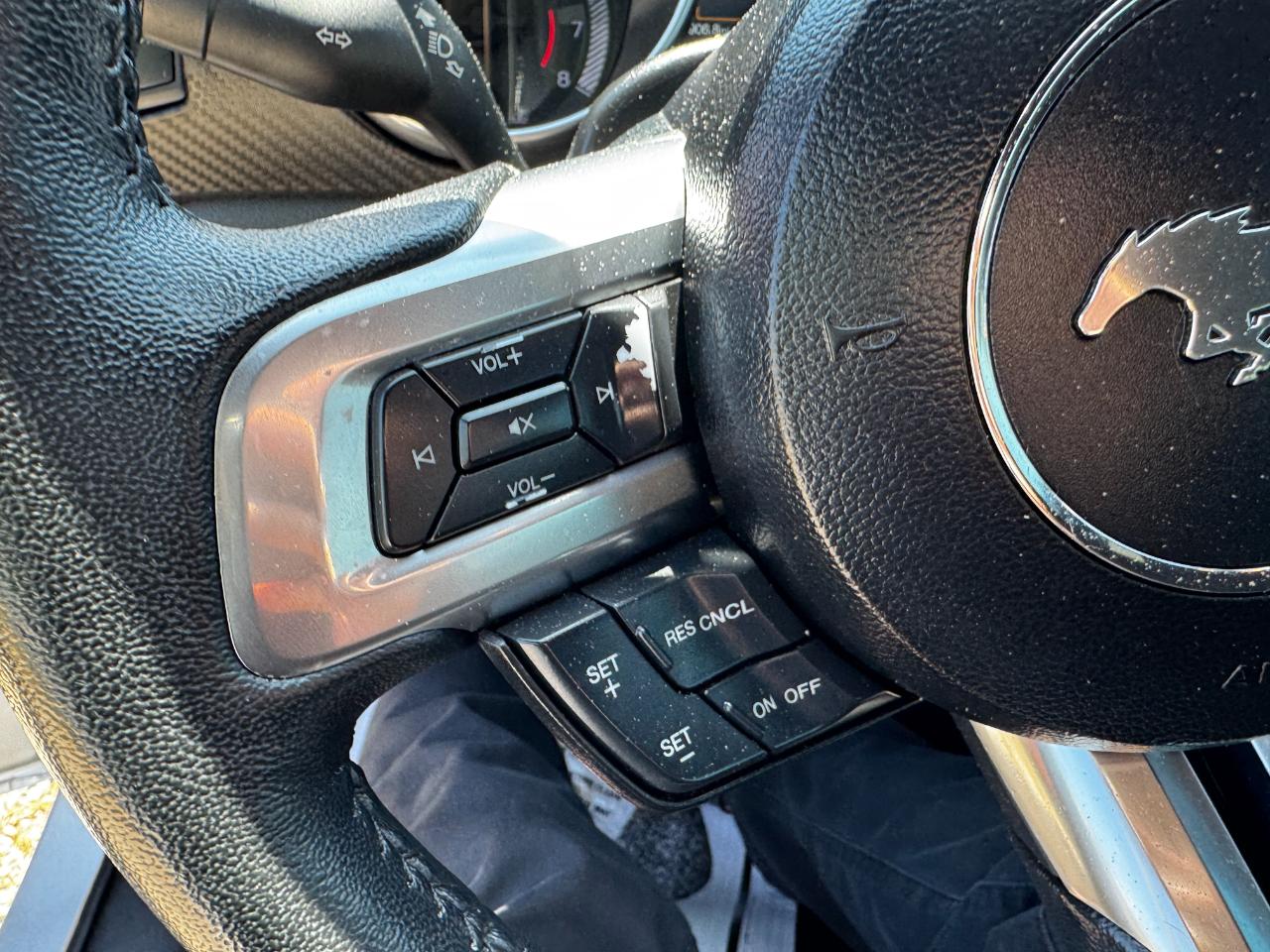 Ford Mustang EcoBoost Fastback 2019