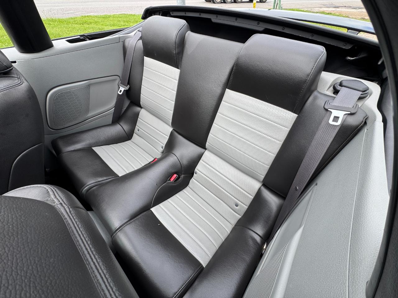 Ford Mustang GT Deluxe Convertible 2007
