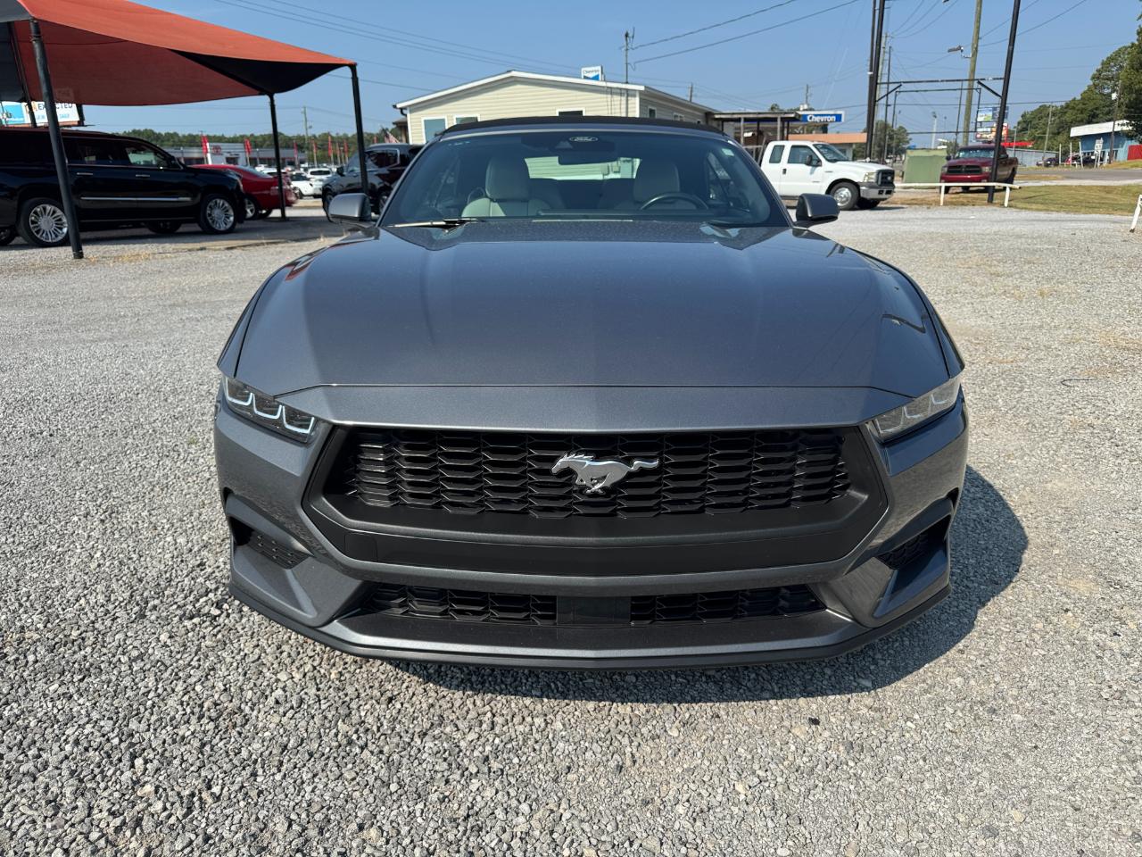 Ford Mustang EcoBoost Premium Convertible 2024