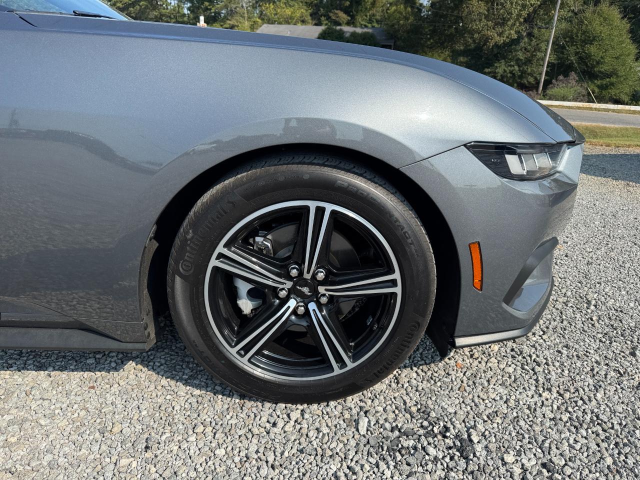 Ford Mustang EcoBoost Premium Convertible 2024