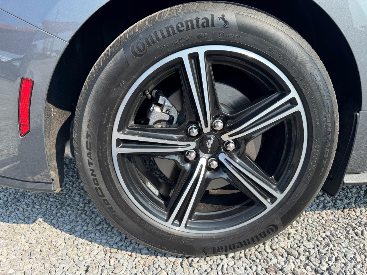 Ford Mustang EcoBoost Premium Convertible 2024