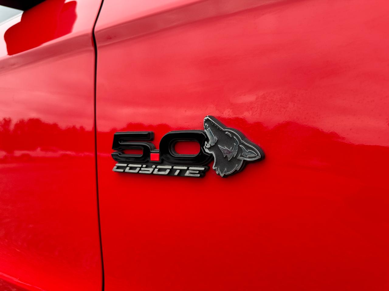 Ford Mustang GT Coupe 2012