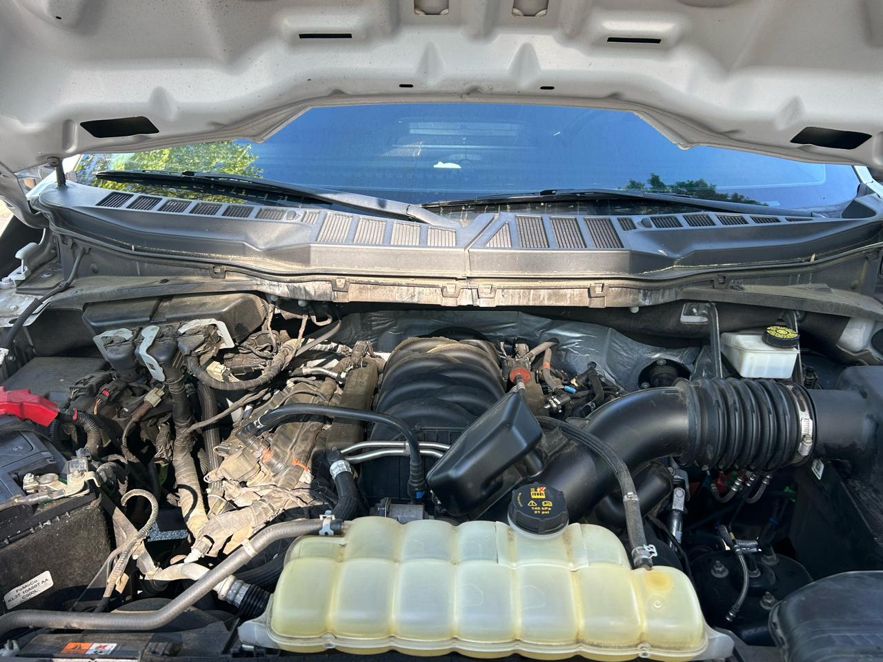 Ford F-150 XL 4WD SuperCrew 5.5' Box 2021