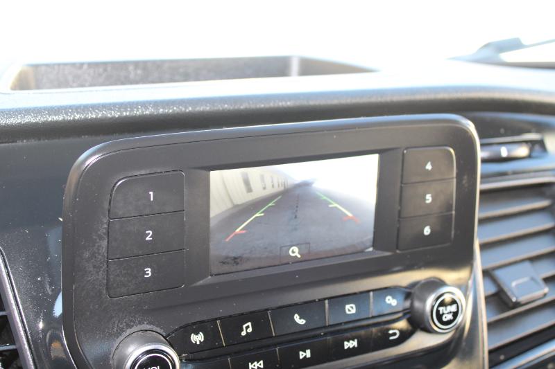 Ford Transit Cargo Van T-250 130" Low Rf 9070 GVWR RWD 2024