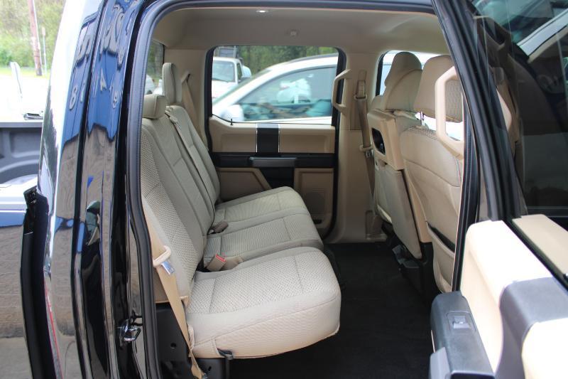 Ford F-150 XLT 2WD SuperCrew 5.5' Box 2019