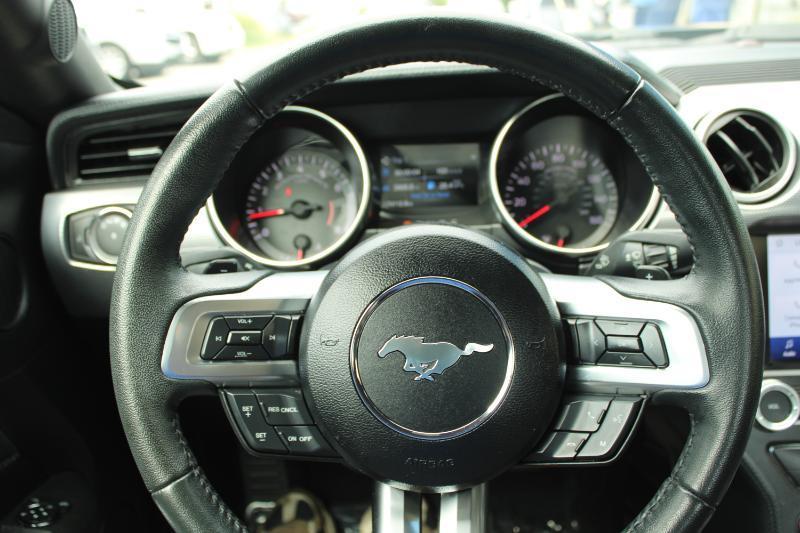 Ford Mustang EcoBoost Fastback 2019