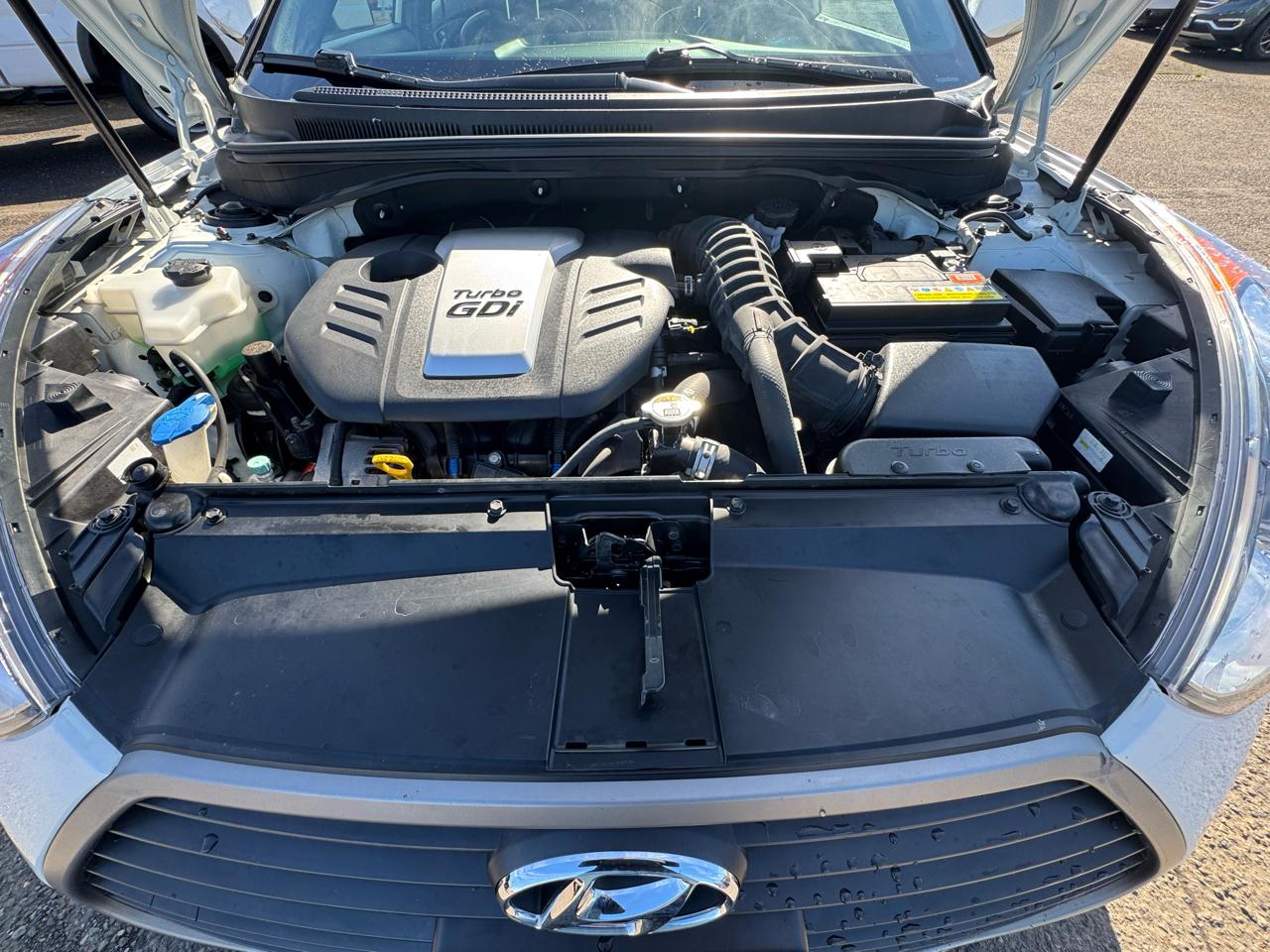 Hyundai Veloster 3dr Cpe Auto Turbo 2016