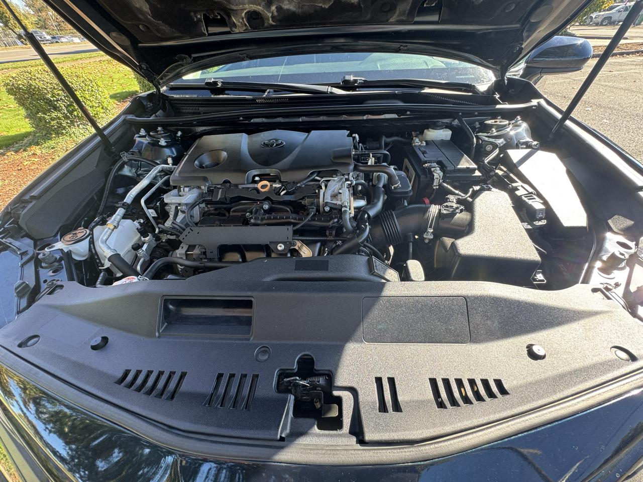 Toyota Camry XLE Auto (Natl) 2019