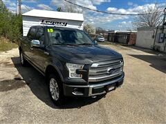 2015 Ford F-150  2015 Ford F-150