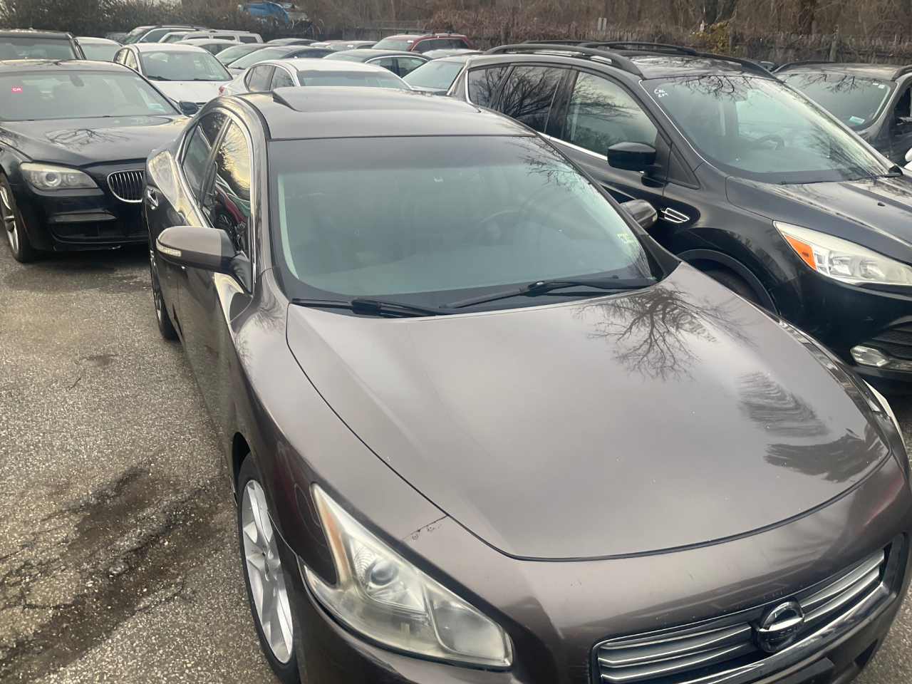 Nissan Maxima 4dr Sdn 3.5 SV 2013