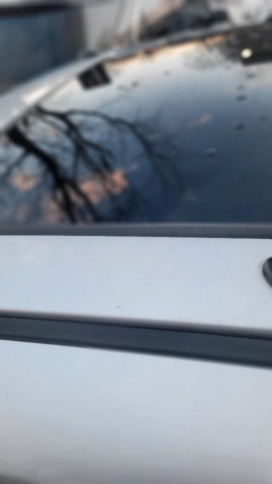 Ford Escape 4WD 4dr XLT 2011