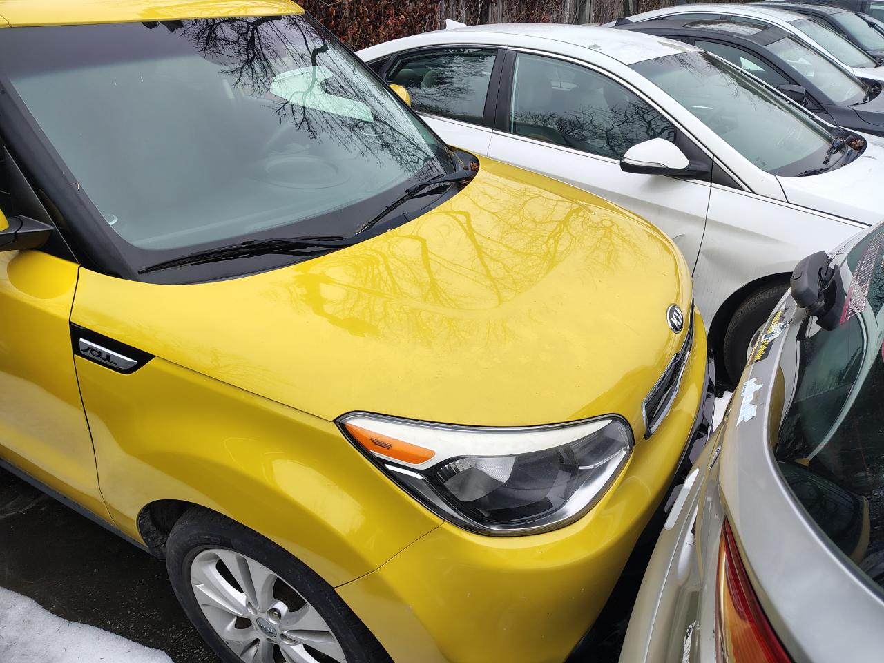 Kia Soul 5dr Wgn Auto + 2016