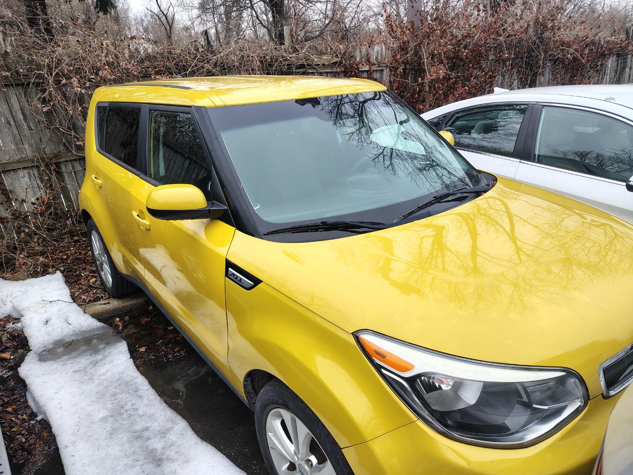 Kia Soul 5dr Wgn Auto + 2016