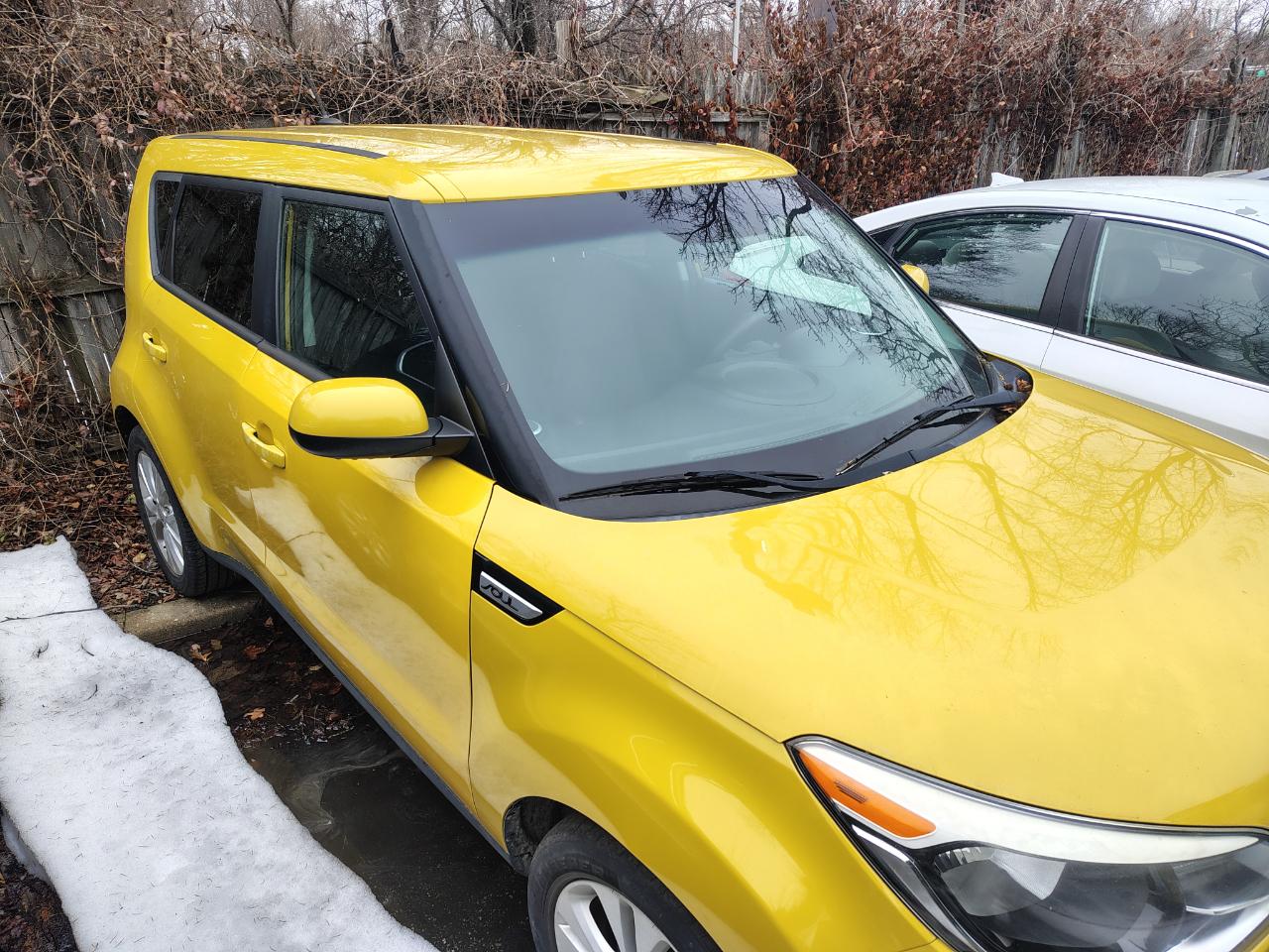 Kia Soul 5dr Wgn Auto + 2016