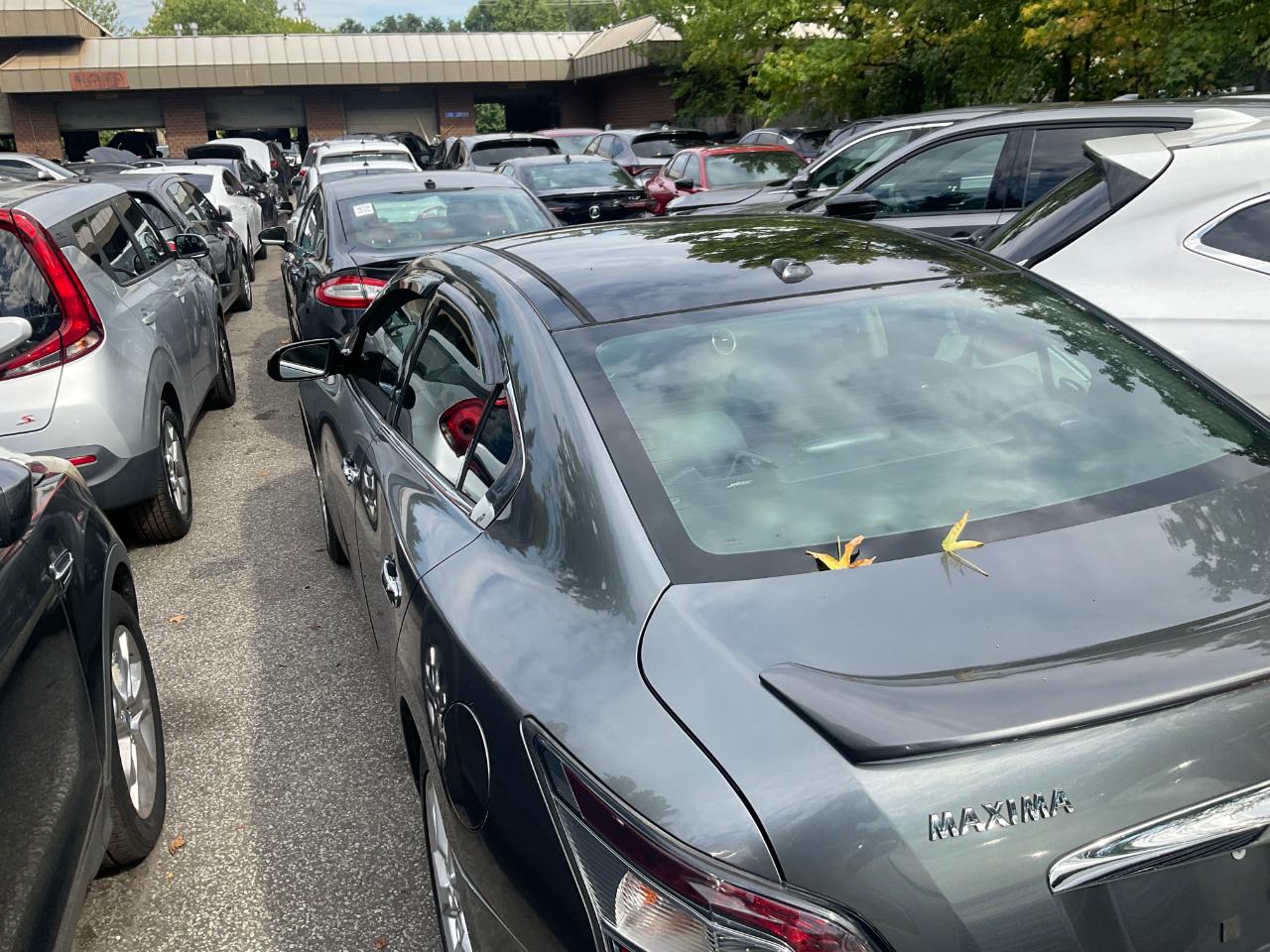 Nissan Maxima 4dr Sdn 3.5 SV w/Premium Pkg 2014