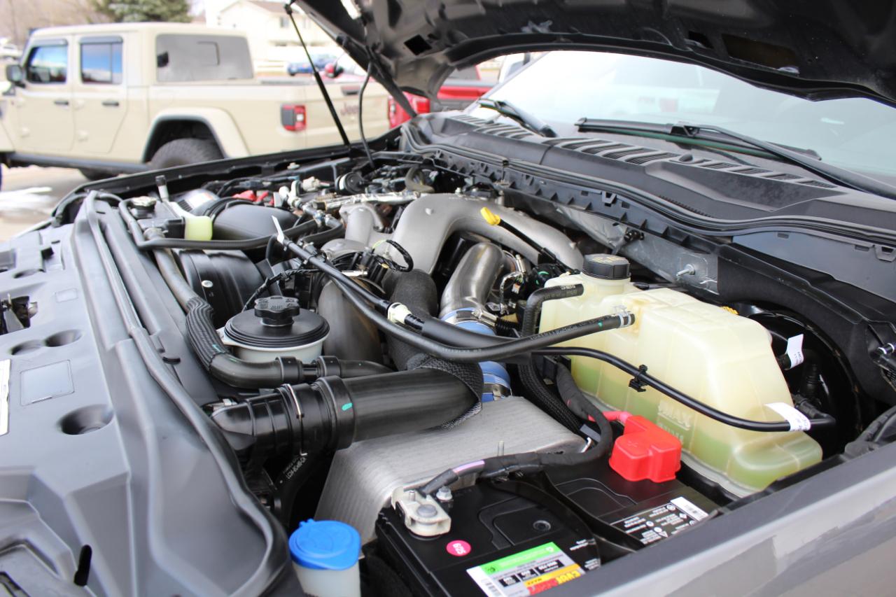 Ford F-250 SD Platinum Crew Cab 4WD 2021