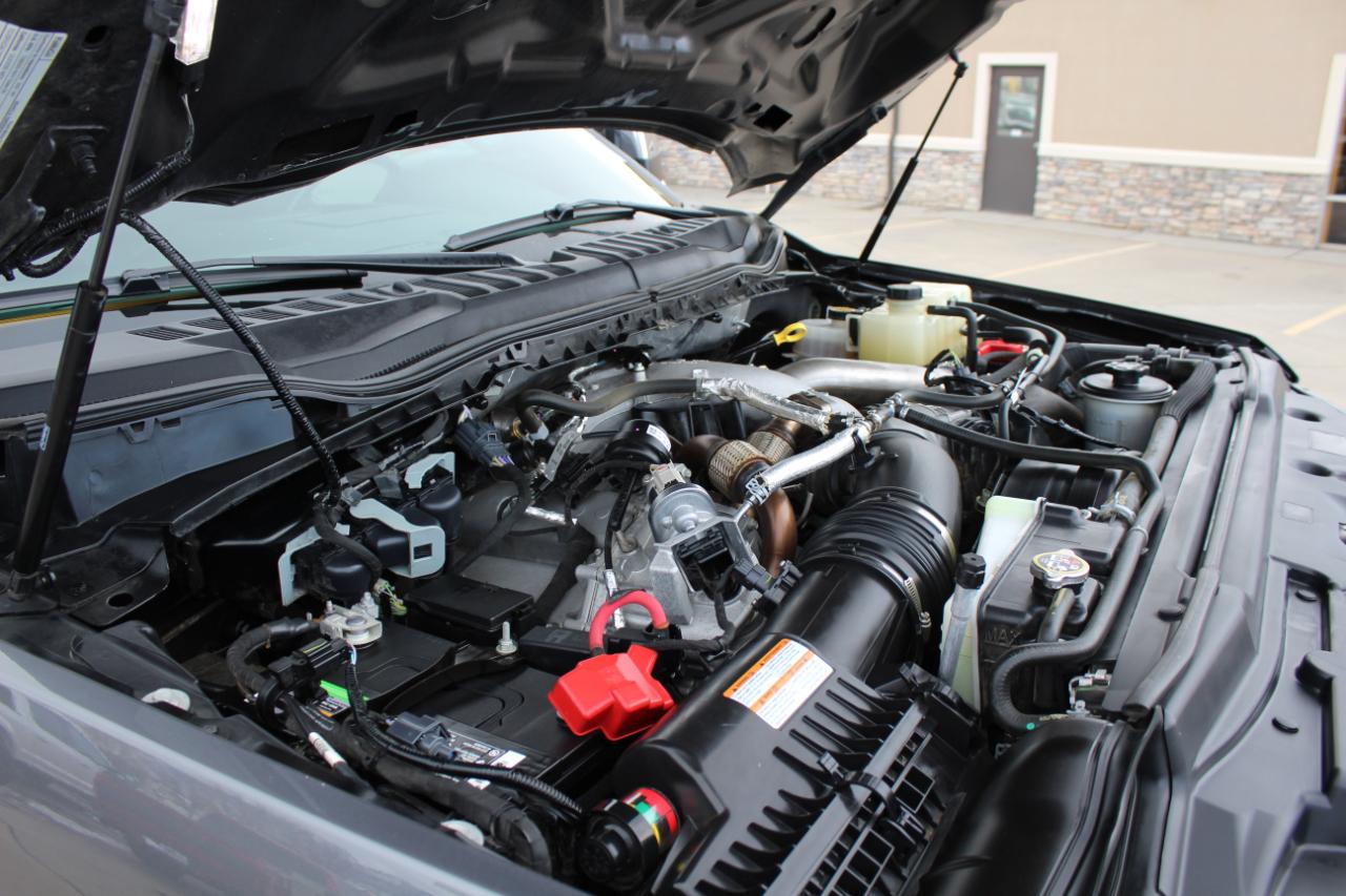 Ford F-250 SD Platinum Crew Cab 4WD 2021