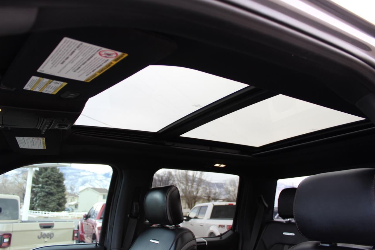 Ford F-250 SD Platinum Crew Cab 4WD 2021