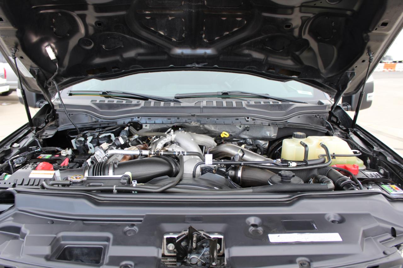 Ford F-250 SD Platinum Crew Cab 4WD 2021