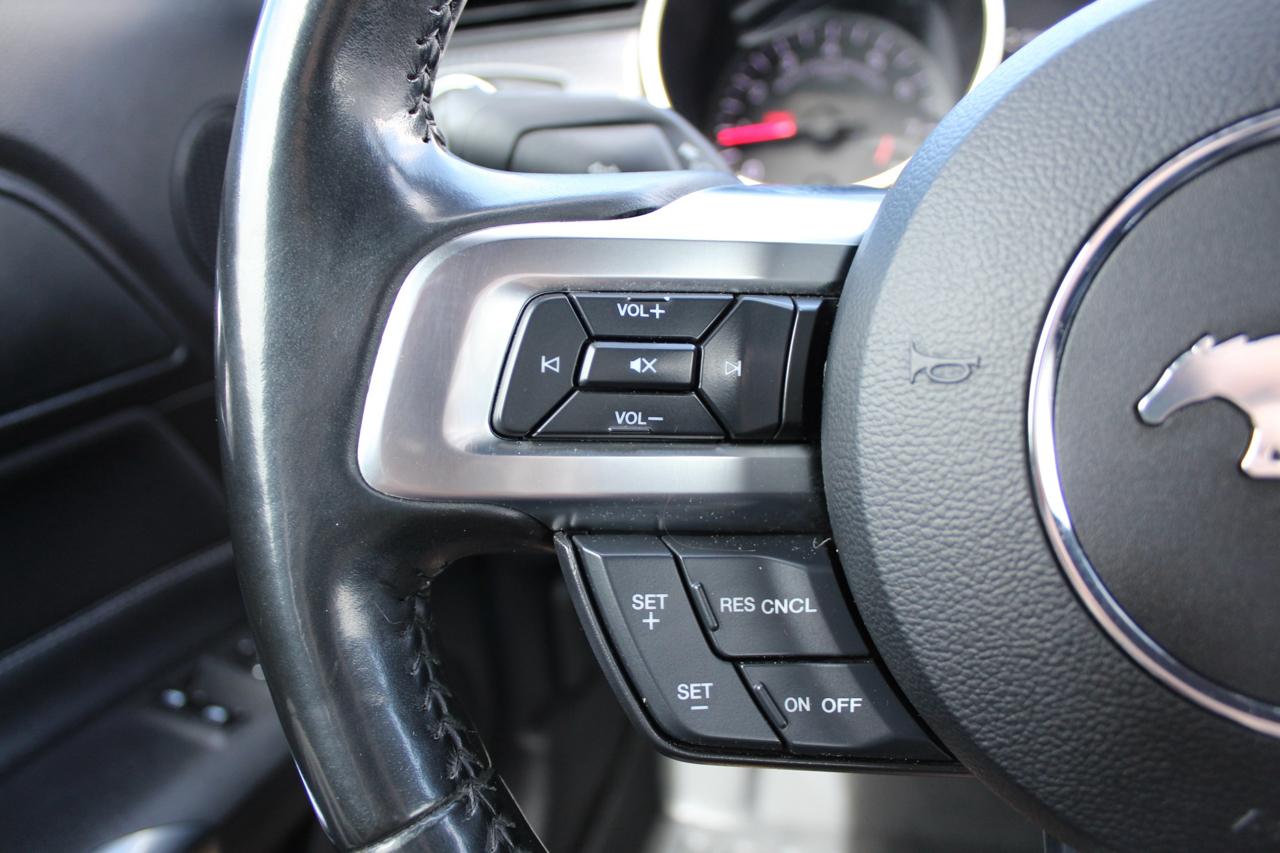 Ford Mustang GT Premium Coupe 2019