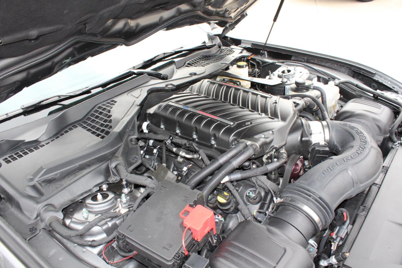 Ford Mustang GT Premium Fastback 2024