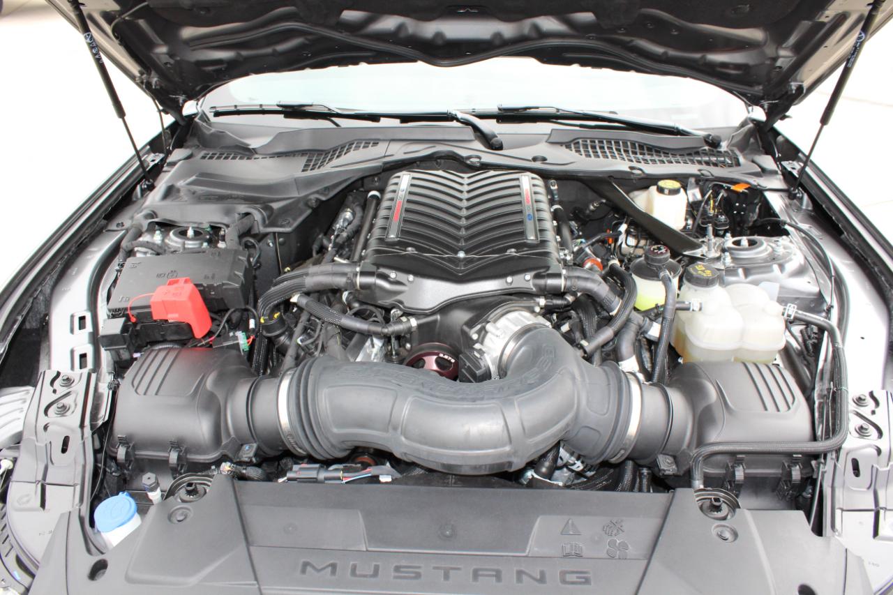 Ford Mustang GT Premium Fastback 2024