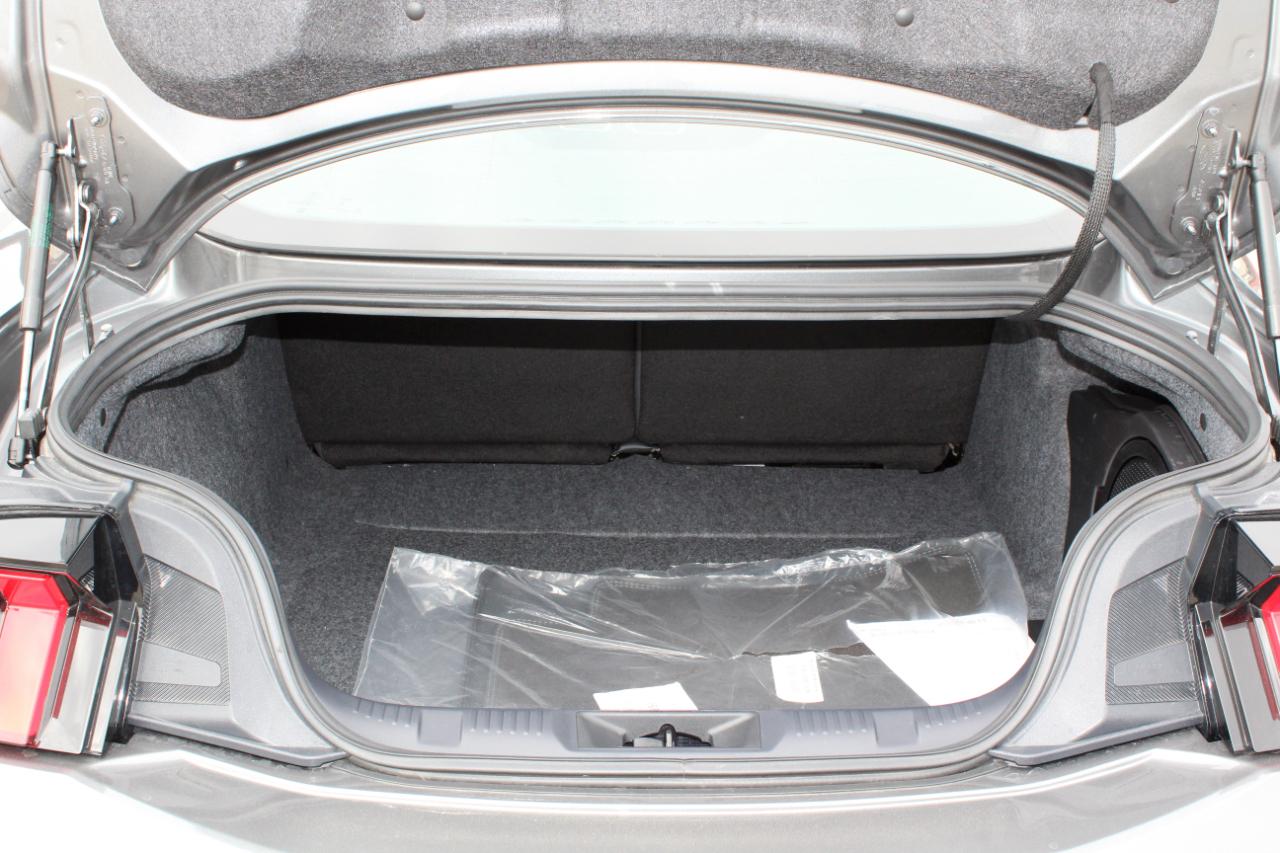 Ford Mustang GT Premium Fastback 2024