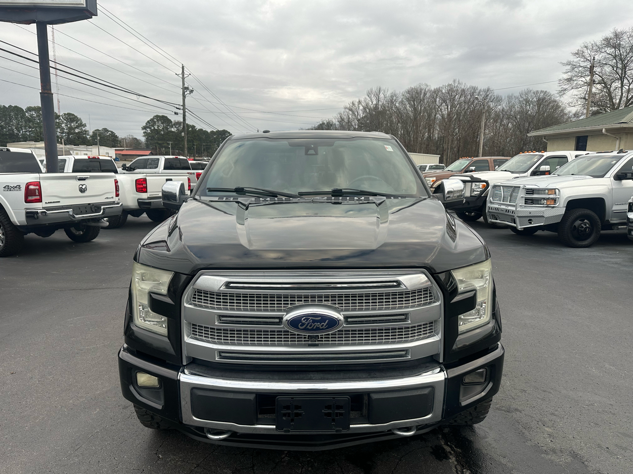 Ford F-150 4WD SuperCrew 145" Platinum 2015