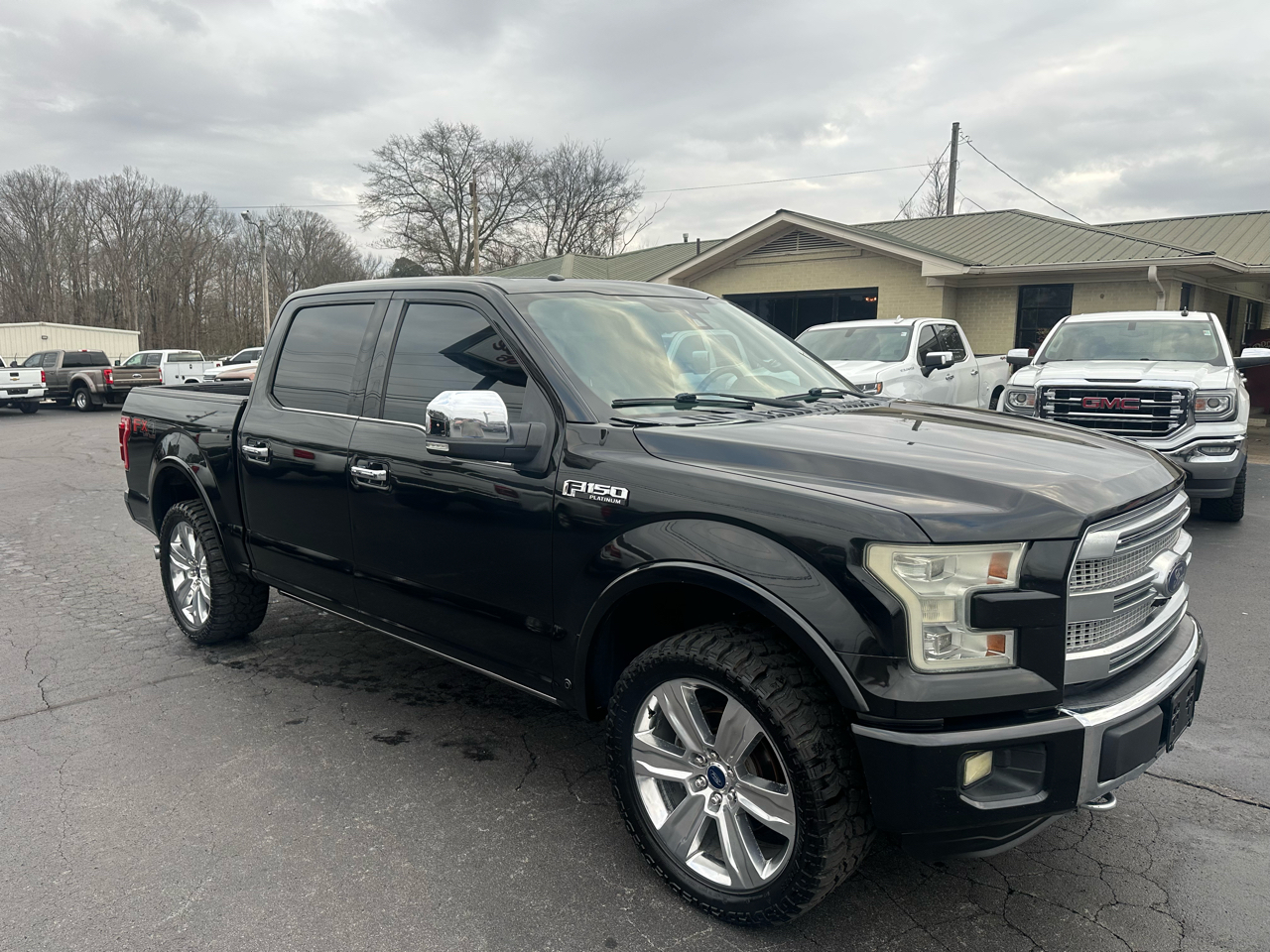 Ford F-150 4WD SuperCrew 145" Platinum 2015