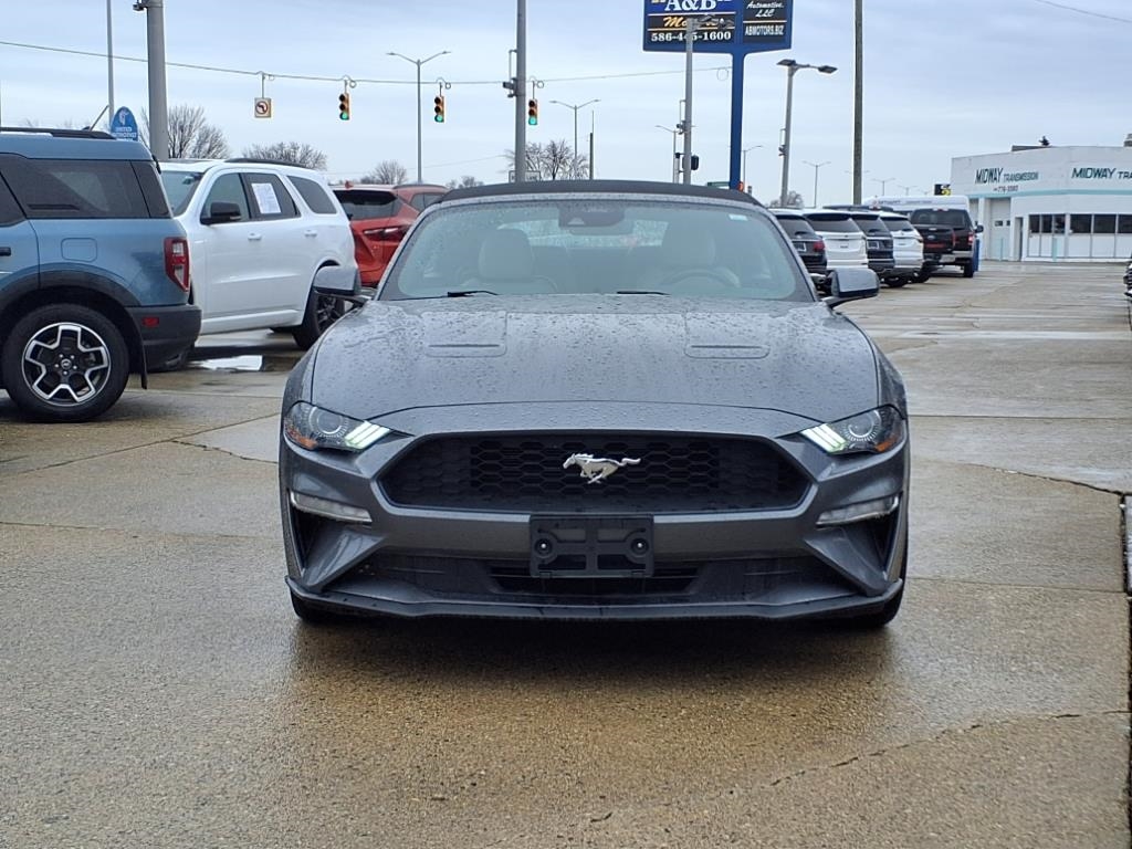 Ford Mustang EcoBoost Convertible 2023 Ford Mustang EcoBoost Convertible 2023