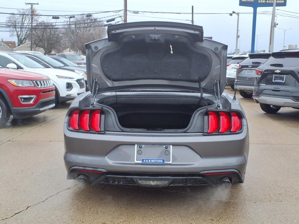 Ford Mustang EcoBoost Convertible 2023 Ford Mustang EcoBoost Convertible 2023