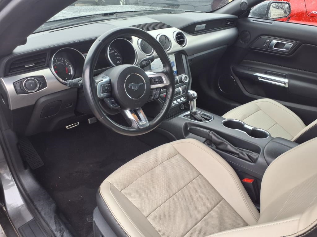 Ford Mustang EcoBoost Convertible 2023 Ford Mustang EcoBoost Convertible 2023