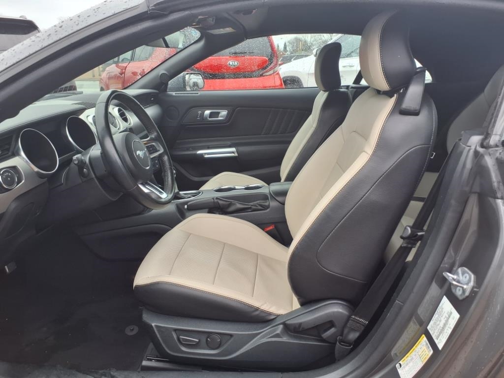 Ford Mustang EcoBoost Convertible 2023 Ford Mustang EcoBoost Convertible 2023