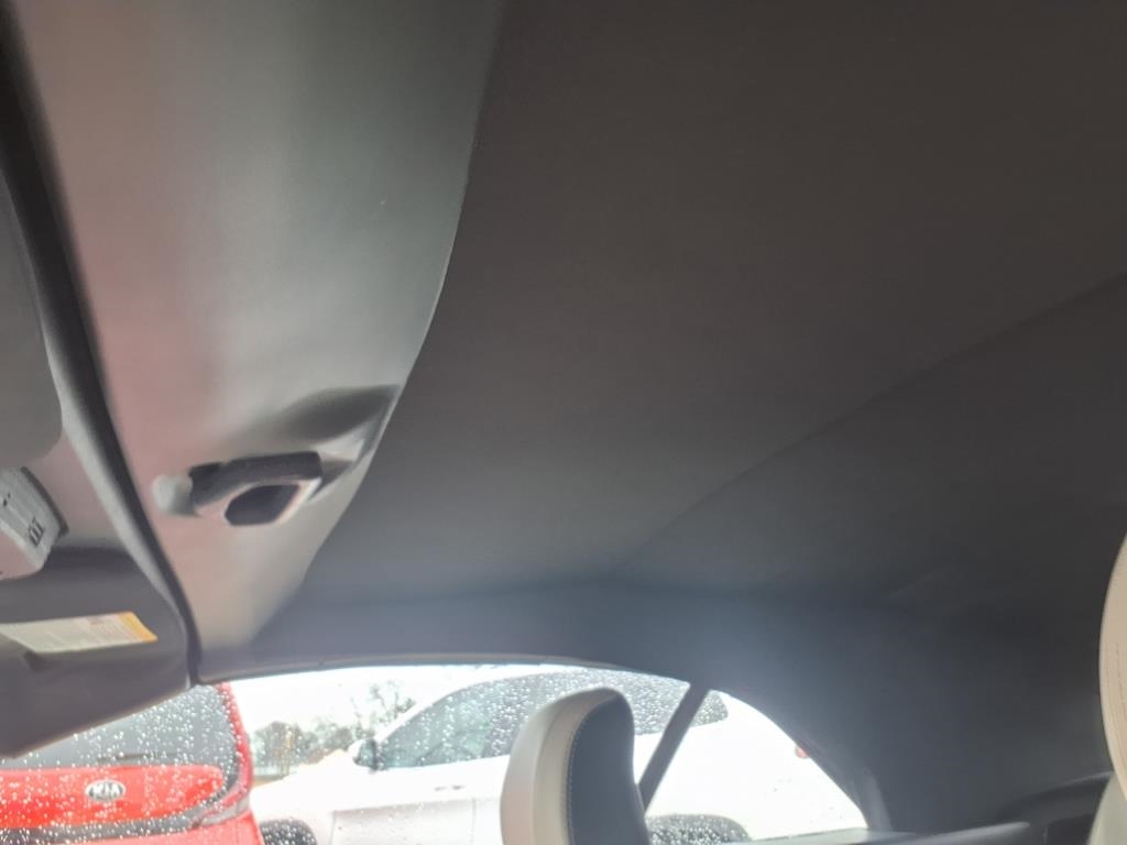 Ford Mustang EcoBoost Convertible 2023