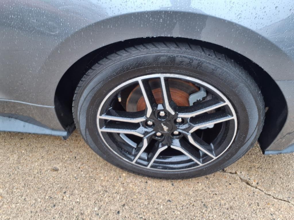 Ford Mustang EcoBoost Convertible 2023