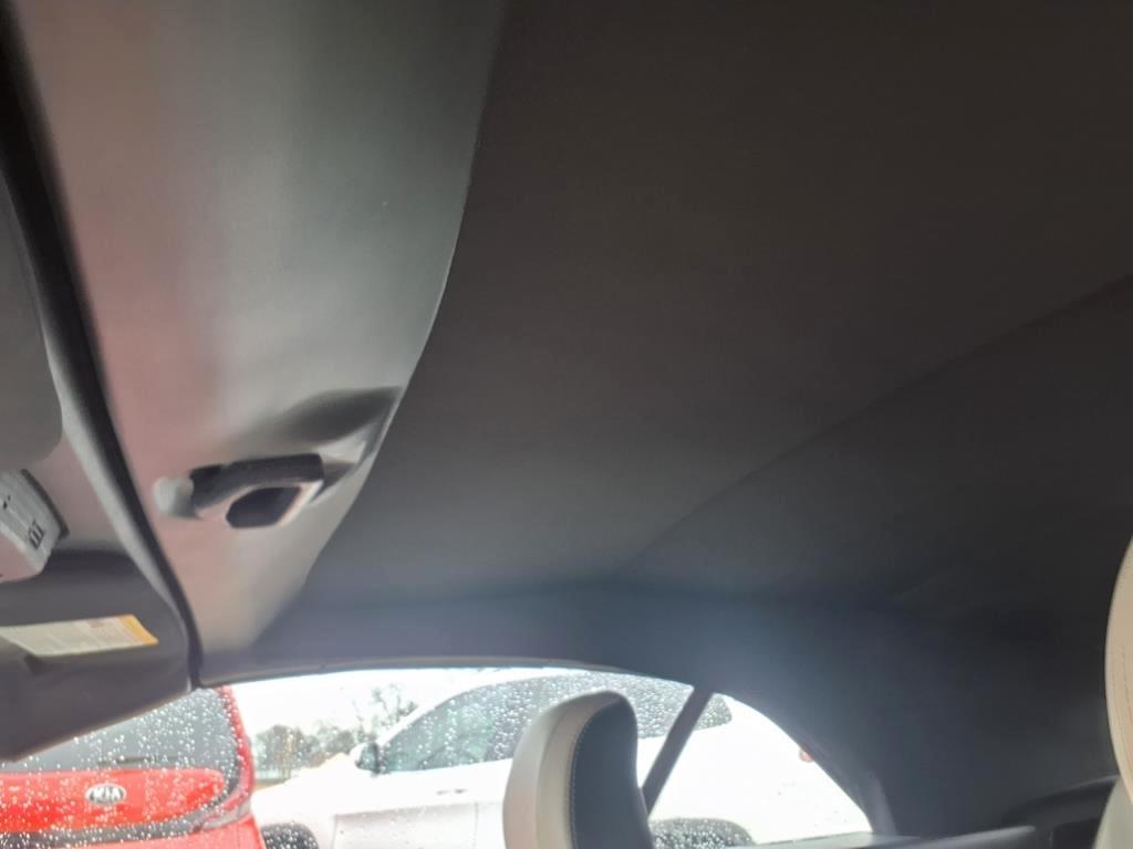 Ford Mustang EcoBoost Convertible 2023